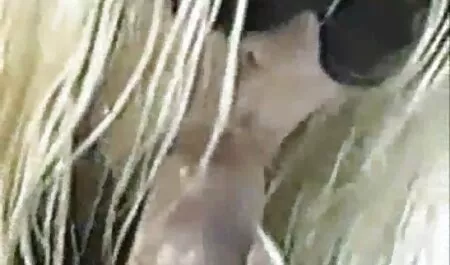 Gorąca darmowe filmy erotyczno obyczajowe Lily ukryte od Anal oglądać Lily