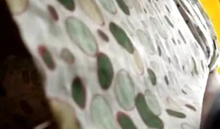 Wykończenie piwa suka pochyliła się filmy erotyczne filmiki nad drogą