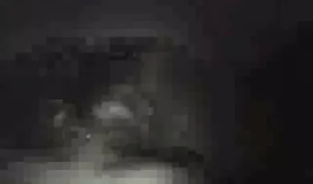Laska zaczyna lizać filmy porno za darmo ostre jej cipki w piątym miesiącu