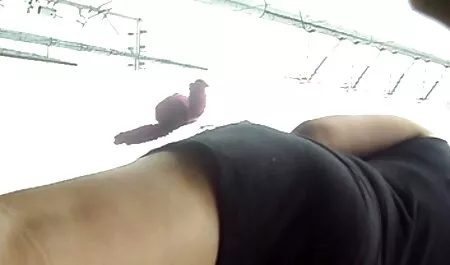 Kurwa erotyczne filmy za darmo dziewczyna z wibratorem do orgazmu